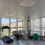 Geniş pencerelerden içeri dolan parlak gün ışığı, gri ahşap zeminli fizyoterapi salonunu aydınlatıyor. Sol taraftaki siyah koşu bandı ve egzersiz bisikleti pencerelerden dışarıdaki kızıl tuğlalı binalara yönelirken, merkezdeki beyaz kolon yuvarlak bir saati ve uzun dikdörtgen bir aynayı taşıyor. Aynanın hemen yanından başlayan tırabzanlı beyaz egzersiz merdiveni üç basamakla yukarı doğru uzanıyor. Odanın sağını kapatan beyaz tül perdelerin önündeki muayene sedyesini; büyük yeşil bir pilates topu, kahverengi bir egzersiz topu ve siyah küçük bir trambolin çevreliyor.fizyoterapi odası